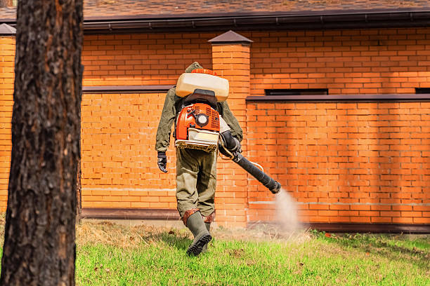 Trusted Ant Control service in Lake Delton, WI - Nex Pest Control